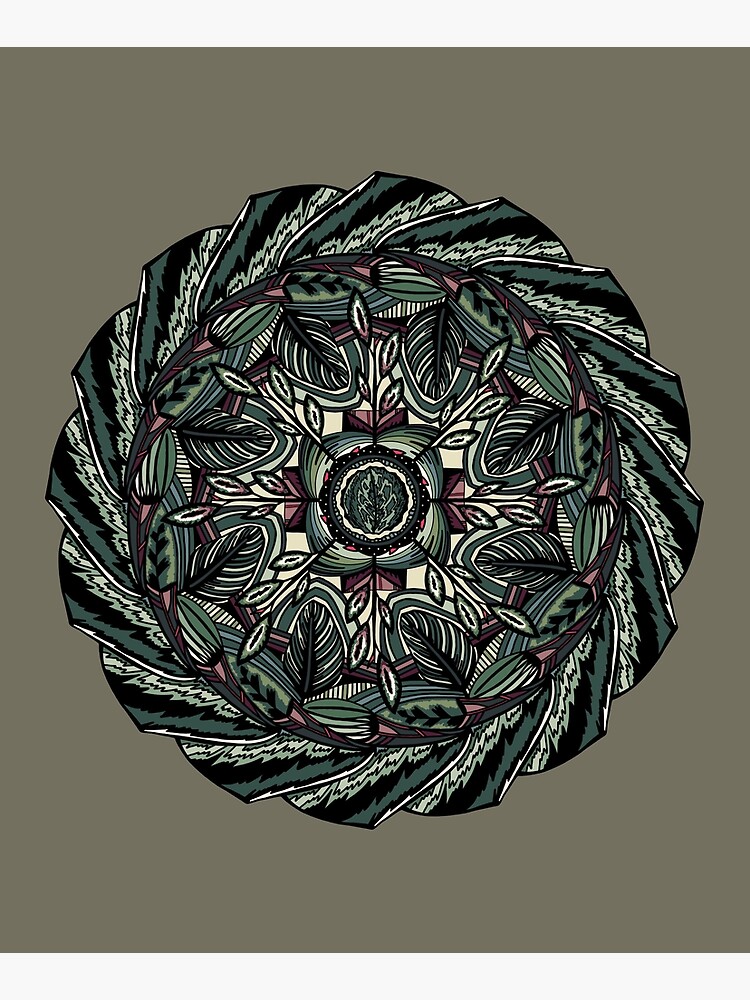 House Plants Mandala by akayeart