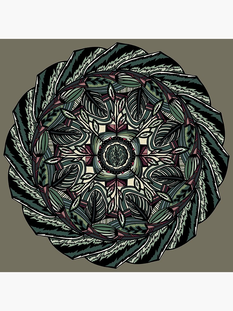 House Plants Mandala by akayeart
