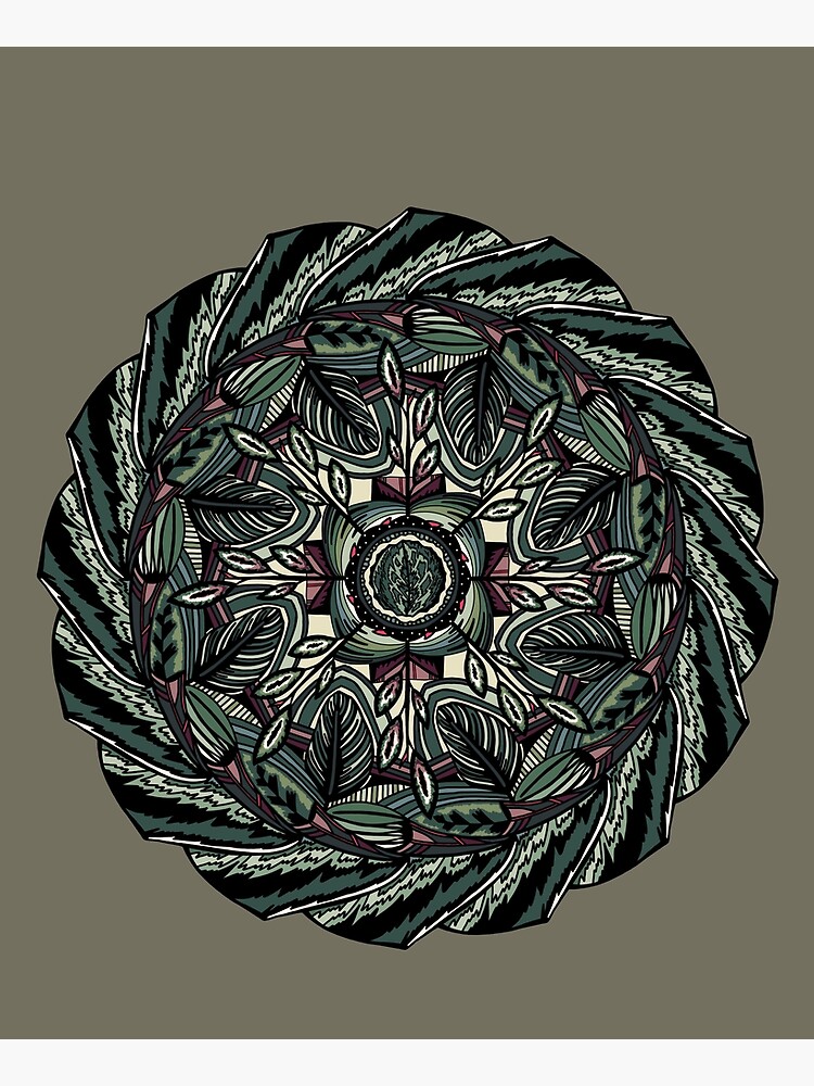 House Plants Mandala by akayeart