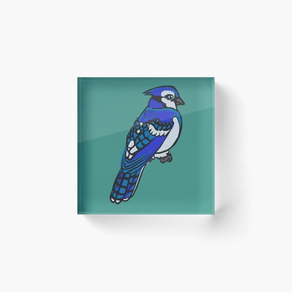 Chibi Blue Jay Acrylic Blocks for Sale