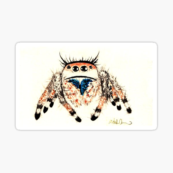 Item preview, Phid. Regius Jumping Spider Watercolor designed and sold by Gyngr-art.