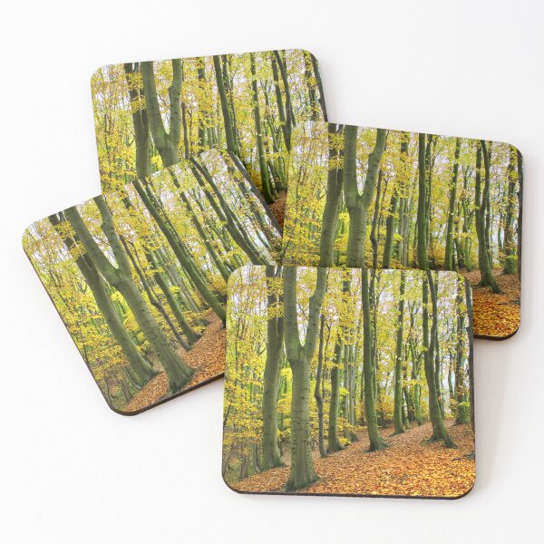Item preview, Beech Trees at Marsh Brook Woods designed and sold by Alisonchambers2.
