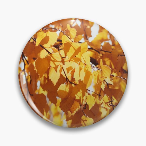 Item preview, Golden autumn foliage, scenic birch trees with orange and yellow leaves in the sunny forest. designed and sold by FENIO.