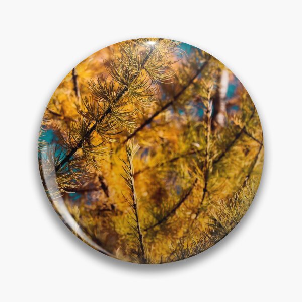 Artikelvorschau, Golden autumn foliage, scenic larch trees with orange and yellow needles and cones in the sunny forest. entworfen und verkauft von FENIO.