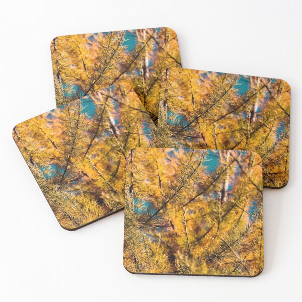 Item preview, Golden autumn foliage, scenic larch trees with orange and yellow needles and cones in the sunny forest. designed and sold by FENIO.