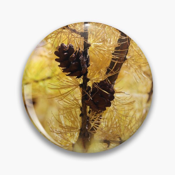Artikelvorschau, Golden autumn foliage, scenic larch trees with orange and yellow needles and cones in the sunny forest. entworfen und verkauft von FENIO.