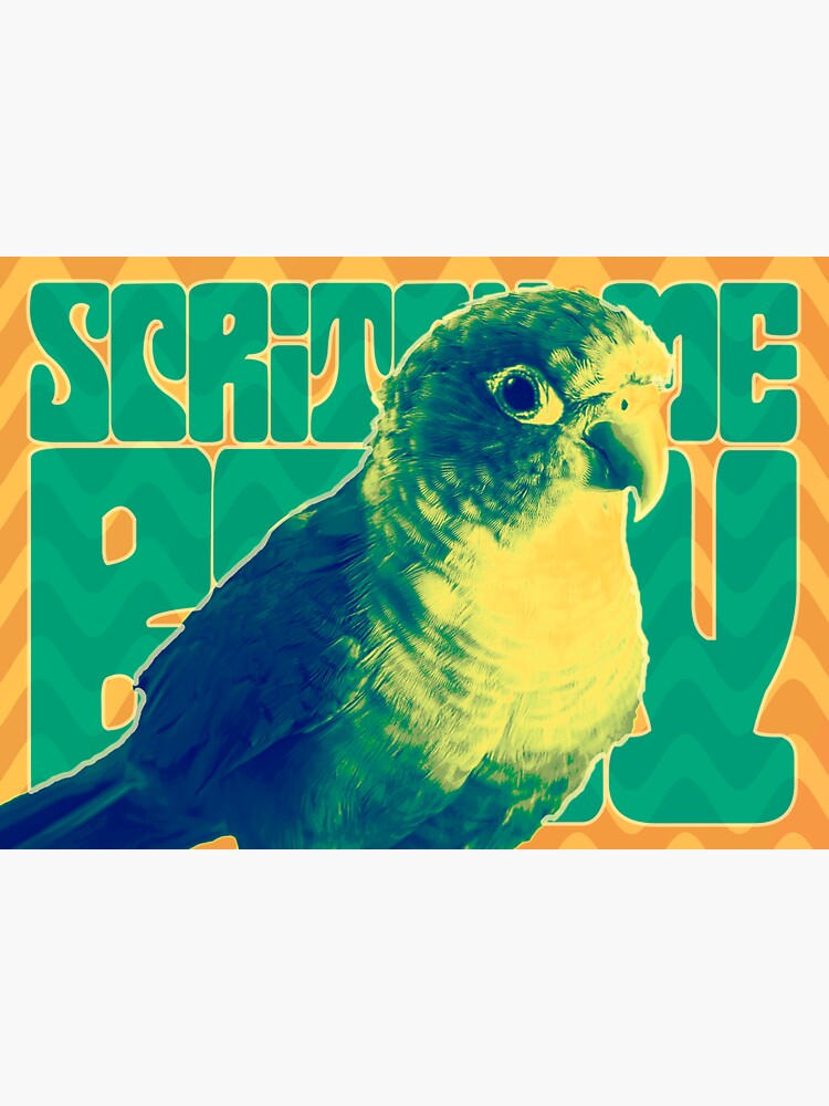 Scritch Me Baby - Conure by vegasmacguy