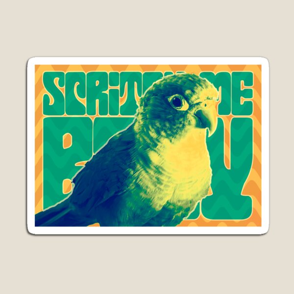 Scritch Me Baby - Conure Magnet