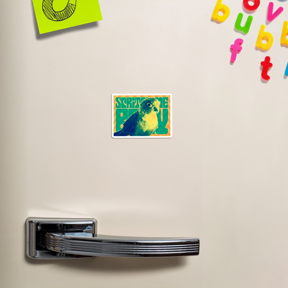 Scritch Me Baby - Conure Magnet