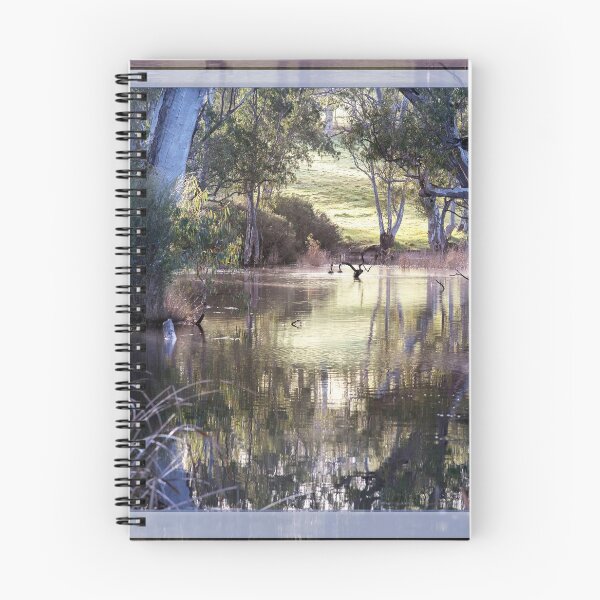 Item preview, Swans in the morning light. designed and sold by Bevlyn.