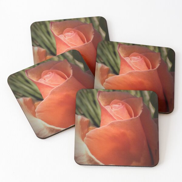 Item preview, Opening the rose designed and sold by Randle.