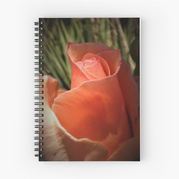 Aperçu de l'œuvre Ouverture de la rose créée et vendue par Randle.