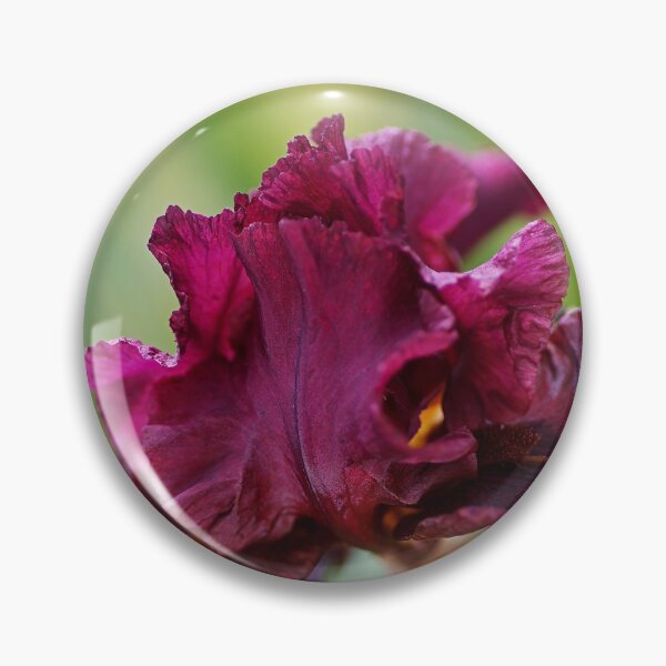 Item preview, Iris Burgundy Bearded designed and sold by Joy Watson - Natural Light Photography .