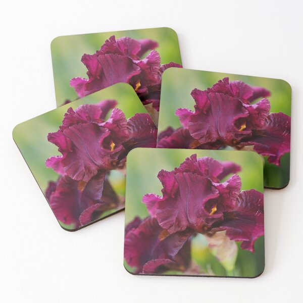 Item preview, Iris Burgundy Bearded designed and sold by Joy Watson - Natural Light Photography .