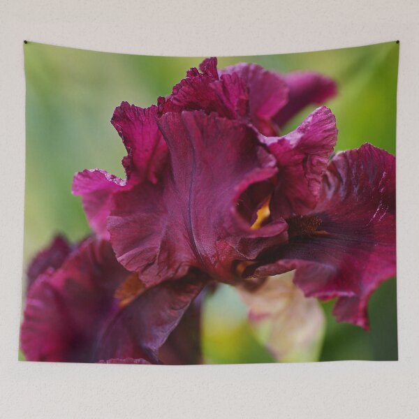 Item preview, Iris Burgundy Bearded designed and sold by Joy Watson - Natural Light Photography .
