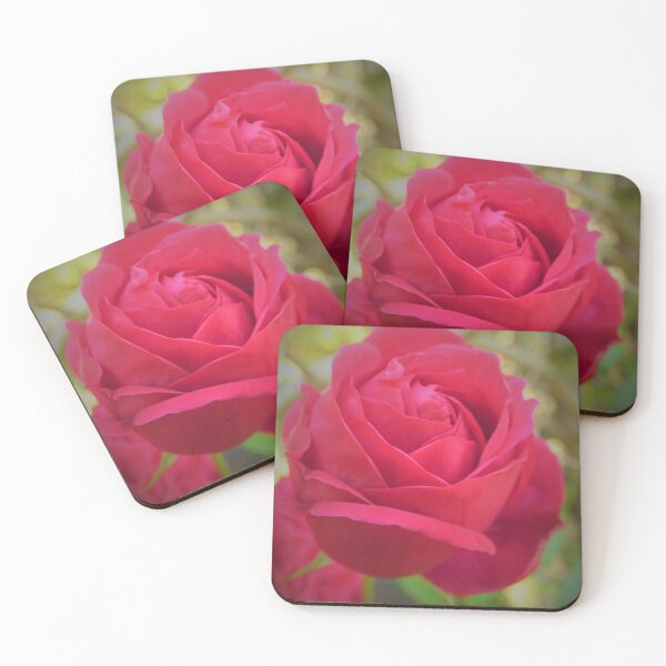 Item preview, Mmmmmmmm sniff up close, nose to rose designed and sold by Randle.
