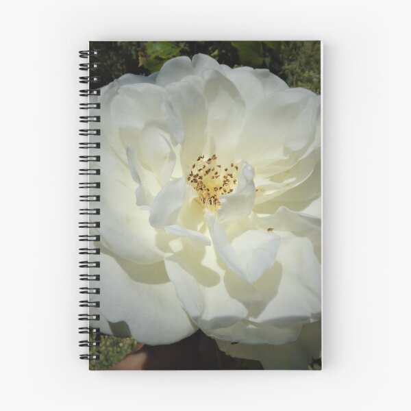 Item preview, White Rose. designed and sold by Randle.