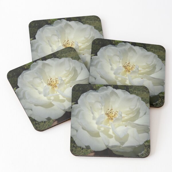 Item preview, White Rose. designed and sold by Randle.