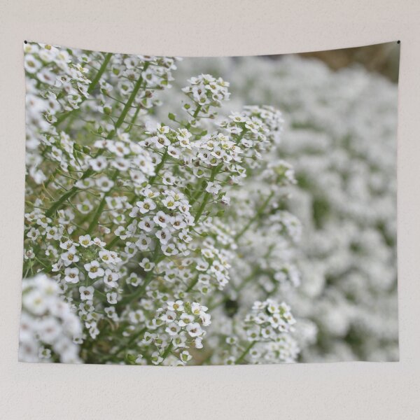 Item preview, Snow Alyssum designed and sold by AmberleeCraftin.