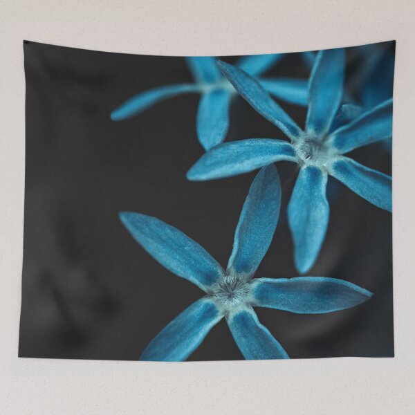 Item preview, A trio of blue designed and sold by mariannehope.