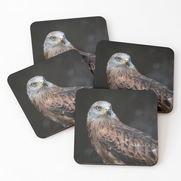 Item preview, Red Kite designed and sold by Steve Liptrot Photography.