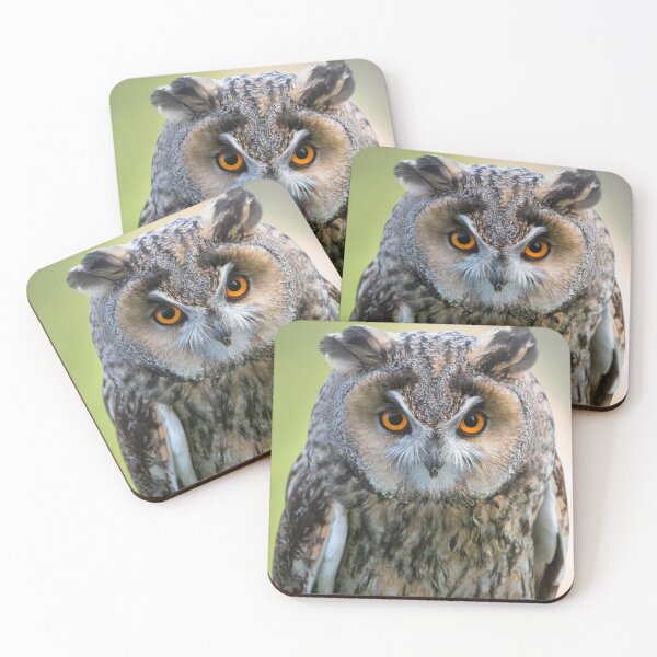 Item preview, Long-eared owl designed and sold by Steve Liptrot Photography.