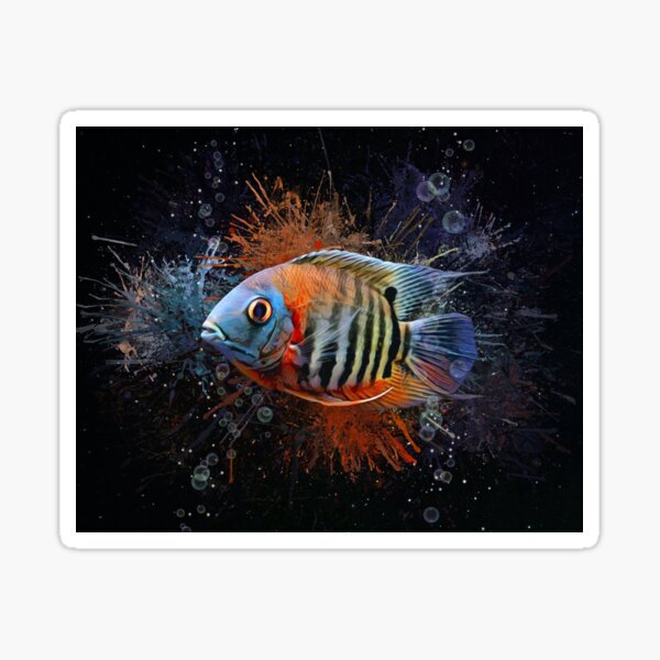 Item preview, Red Shoulder Severum Cichlid Aquatic Portrait  designed and sold by Digital-designs.