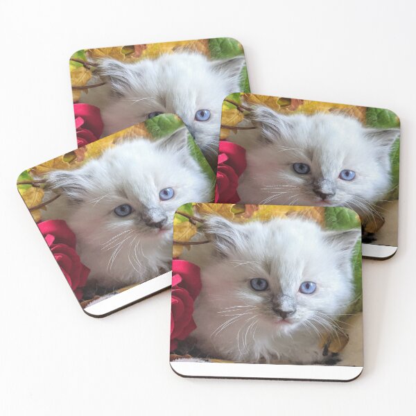 Item preview, Ragdoll kitten designed and sold by Fluffycat2020.
