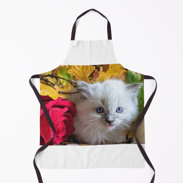 Item preview, Ragdoll kitten designed and sold by Fluffycat2020.