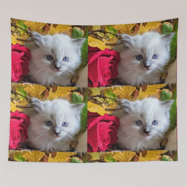 Aperçu de l'œuvre Chaton Ragdoll créée et vendue par Fluffycat2020.