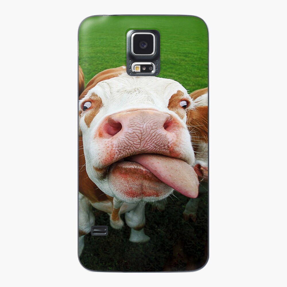 Cow Funny Face Milk Pet Cute Animals With Tongue Licking Mouth