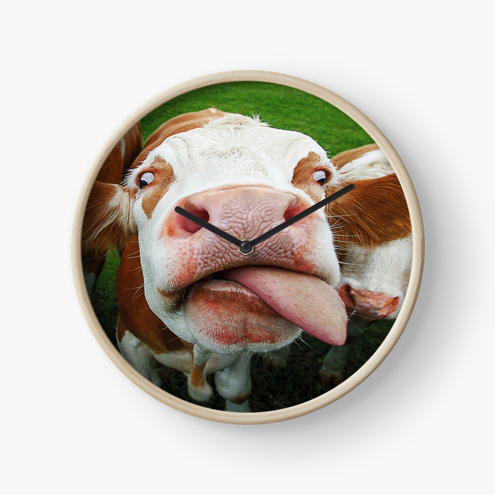 Cow Funny Face Milk Pet Cute Animals With Tongue Licking Mouth