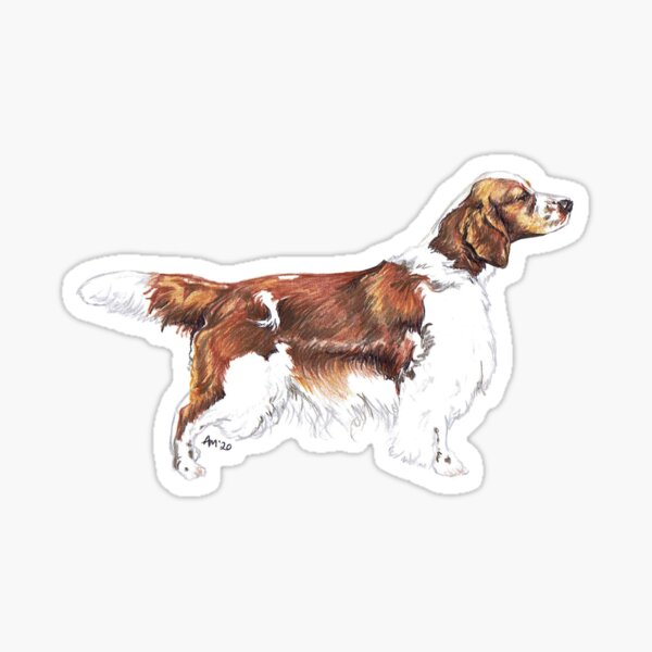 Item preview, Welsh Springer Spaniel Dog Breed Show Stack Stand designed and sold by Amber Westwood.