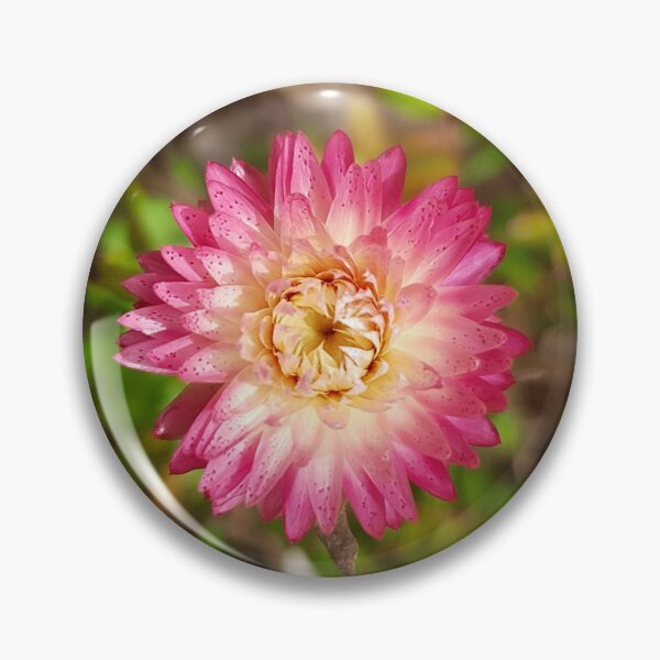 Item preview, Petite in Pink designed and sold by r383x4.