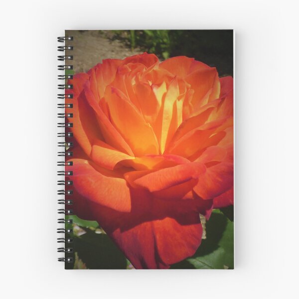 Aperçu de l'œuvre Roses de maman # 7 créée et vendue par Randle.
