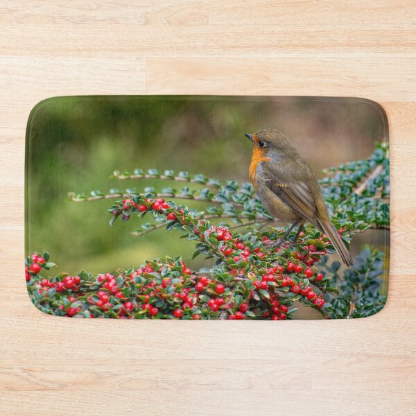 Item preview, Robin Redbreast designed and sold by AJEvans.