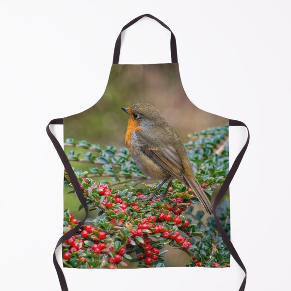 Item preview, Robin Redbreast designed and sold by AJEvans.