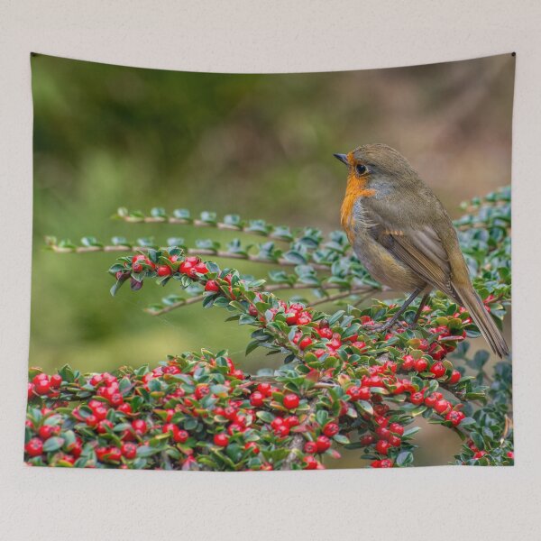 Item preview, Robin Redbreast designed and sold by AJEvans.