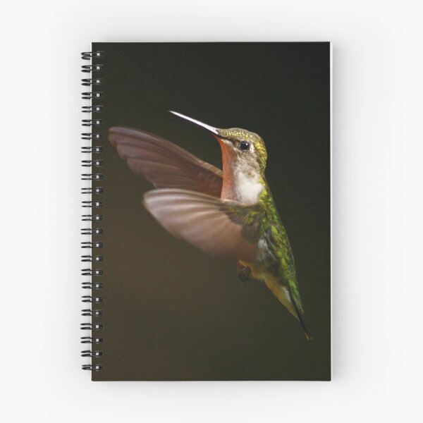 Item preview, Ruby-throated Hummingbird designed and sold by Enola Gay Wagner.