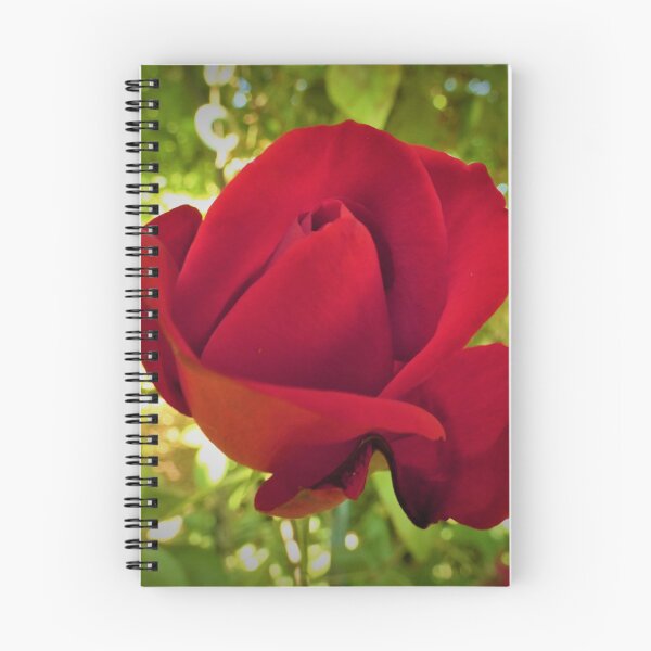Aperçu de l'œuvre Rose rouge créée et vendue par Randle.