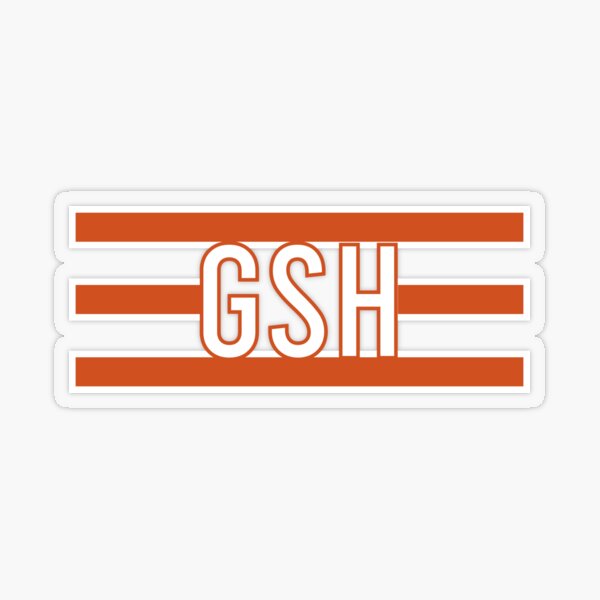 Chicago Bear GSH Essential T-Shirt for Sale by Throk7257