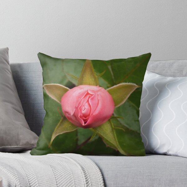 Item preview, Star Rose opening designed and sold by Randle.