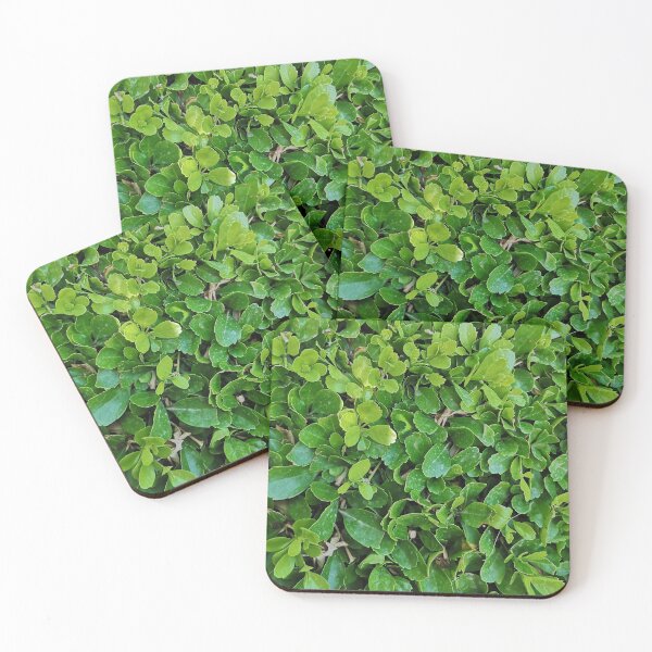 Item preview, green herb designed and sold by GlowDoodles.