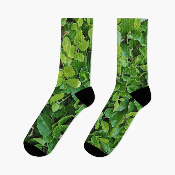Item preview, green herb designed and sold by GlowDoodles.