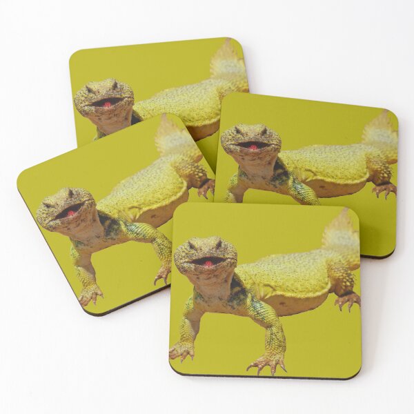 Item preview, Spiny-tailed lizards (Uromastyx) designed and sold by Akal70.