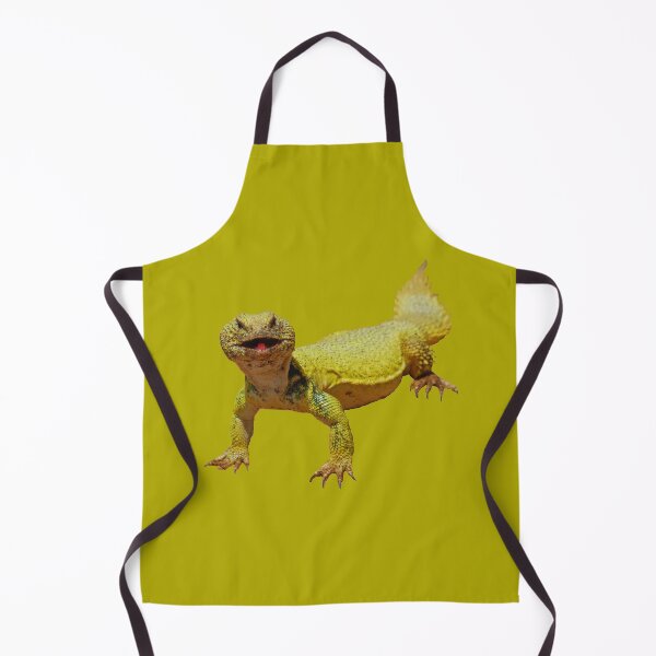 Item preview, Spiny-tailed lizards (Uromastyx) designed and sold by Akal70.