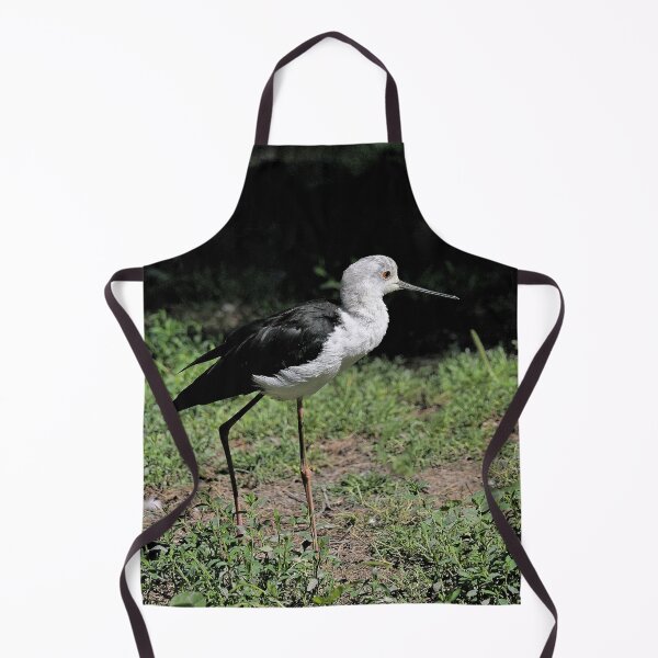 Item preview, r2448/ 2 parc-ornithologique-de-st-hilaire-la-palud- échasse blanche- 2020 par Okaio Créations - Olavia-Olao designed and sold by o.okaïo.