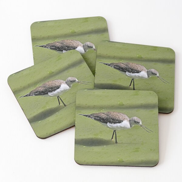 Item preview, r2449/ 3 parc-ornithologique-de-st-hilaire-la-palud- échasse blanche-  2020 par Okaio Créations - Olavia-Olao    designed and sold by o.okaïo.