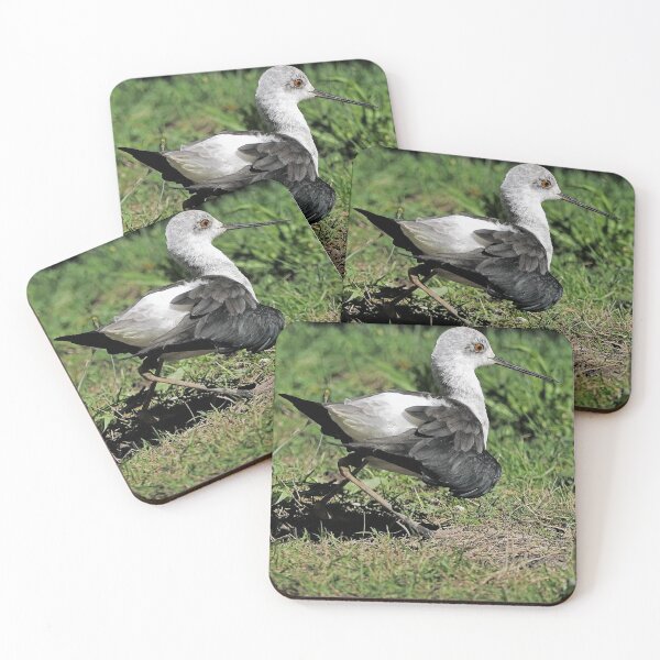 Item preview, r2450/ 4 parc-ornithologique-de-st-hilaire-la-palud- échasse blanche-  2020 par Okaio Créations - Olavia&Olao designed and sold by o.okaïo.