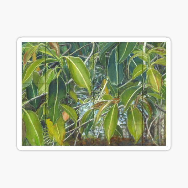 Euca - Leaves Section Sticker